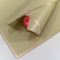 Плёнка в листах 58*58 (20 шт.) матовая с золотым краем 50мкм Бежево-серый 1/60 Арт: 1640/4241