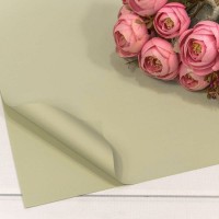 Плёнка в листах 55*55 (20 шт.) матовая "Корейская" 65мкм Бледно-зелёный-6198 1/60 Арт: 1698/6198