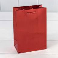 Пакет подарочный &quot;Кожа крокодила&quot; (микс) 14*20*8 180г 1/20 1/480 Арт: 000162G - Пакет подарочный "Кожа крокодила" (микс) 14*20*8 180г 1/20 1/480 Арт: 000162G