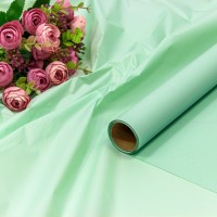  Плёнка 0,58*10м ламинированная "Тишью" 23мкм Магическая мята 1/30 Арт: 1665/331