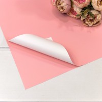 Плёнка в листах 55*55 (20 шт.) матовая двухсторонняя 65мкм Серая спаржа/Серо-зелёный 1/60 Арт: 1631/2410