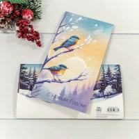 Конверт подарочный 16,5*9см 350 1/10 1/250 Арт: 003004/350