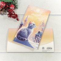 Конверт подарочный 16,5*9см 351 1/10 1/250 Арт: 003004/351
