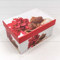 Коробки Прямоугольные Набор 1/3 22*15*11,5 "Шишки" 1/36 Арт: 7303367/0480