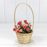 Корзина плетёная Круглая 13*9,5/28 с ручкой "Береста" Натуральный 1/120 Арт: 420200/3