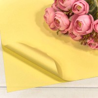 Плёнка в листах 60*60 (20 шт.) матовая "Корейская" 55мкм Песочный 1/60 Арт: 1698/2003
