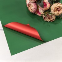 Плёнка в листах 55*55 (20 шт.) матовая двухсторонняя 65мкм Красный/Зелёный 1/60 Арт: 1631/6175