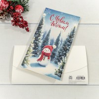 Конверт подарочный 16,5*9см 295 1/10 1/250 Арт: 003004/295