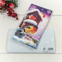 Конверт подарочный 16,5*9см 293 1/10 1/250 Арт: 003004/293